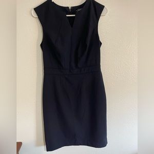 The Limited Navy dress